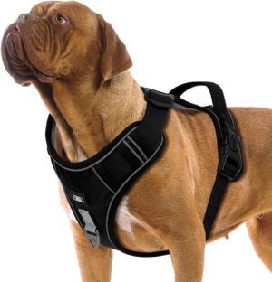 ETACCU Arnés Antitirones para Perros Grandes, Ajustable, Acolchado y Reflectante con Asa, Negro (XL)