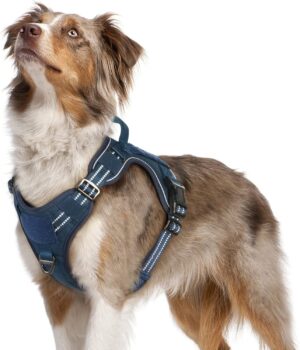 Arnés Táctico Antitirones rabbitgoo para Perros Grandes y Medianos, Ajustable, Transpirable y Reflectante con Asa y Sistema Molle, Azul