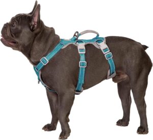 Huntboo Arnés para Perros Antiescape con Asa Acolchada y Reflectante, Transpirable y Ajustable