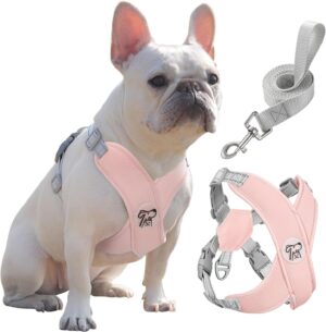 Pawaboo Arnés para Perros Pequeños y Medianos, Antitirones, Ajustable y Acolchado, con Correa, Rosa, L