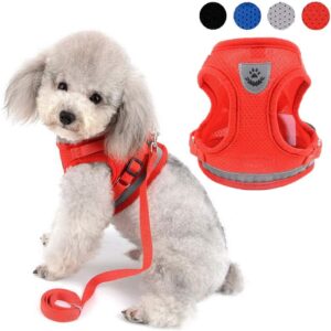 Zunea Arnés Ajustable para Cachorros y Perros Pequeños - Malla Suave, Acolchado y Reflectante, Incluye Correa