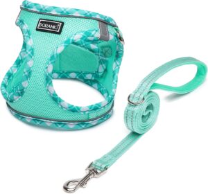 DORAMIO Arnés para Perros y Gatos Pequeños - Antitirones Reflectante y Transpirable, Chaleco Ajustable (S, Verde Claro)