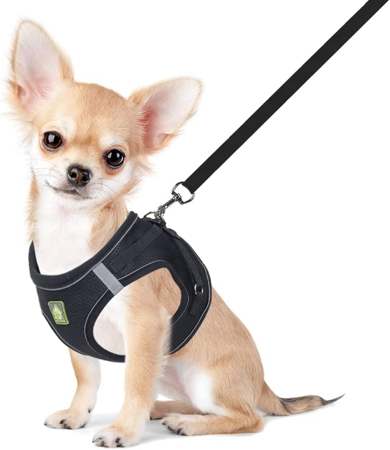 FEimaX Arnés y Correa para Perros y Gatos Pequeños - Chaleco Acolchado con Malla Suave, Reflectante y Ajustable