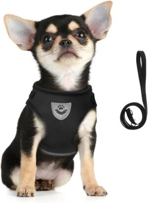 FEimaX Arnés para Perros Pequeños y Correa Reflectante Ajustable - Chaleco Acolchado de Malla Transpirable para Cachorros y Gatos