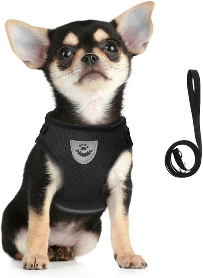 FEimaX Arnés para Perros Pequeños y Correa Reflectante Ajustable - Chaleco Acolchado de Malla Transpirable para Cachorros y Gatos
