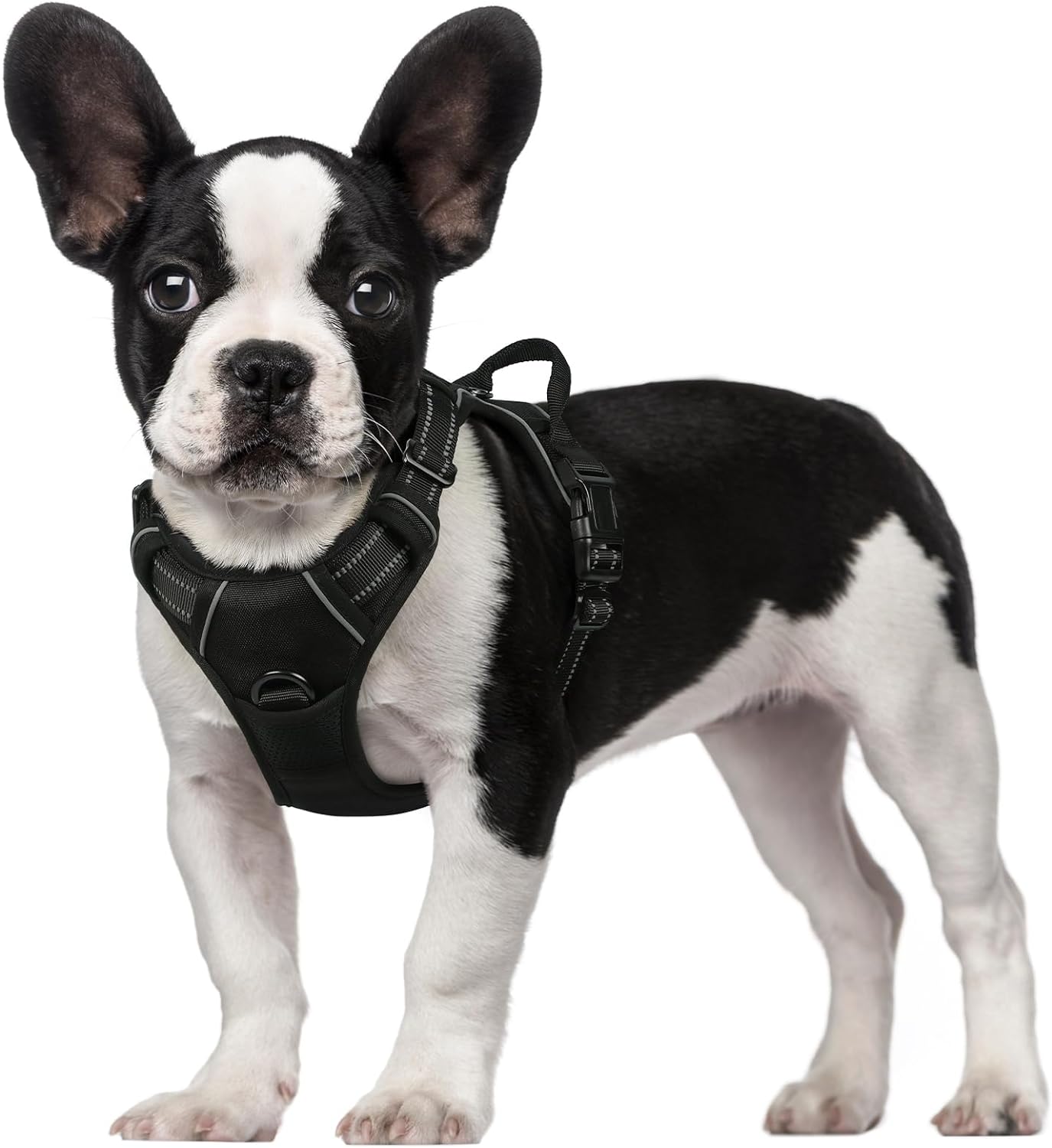 Rabbitgoo Arnés para Perros Pequeños - Arnés Antitirones Ajustable con Correa Reflectante para Adiestramiento y Paseos, Negro