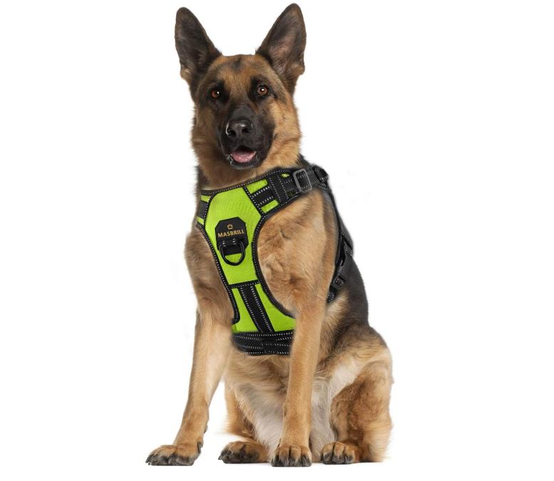 Arnés para Perros Antitirones Ajustable con Asa y Línea Reflectante, Cómodo y Acolchado, para Adiestramiento y Paseos (Verde, XL)