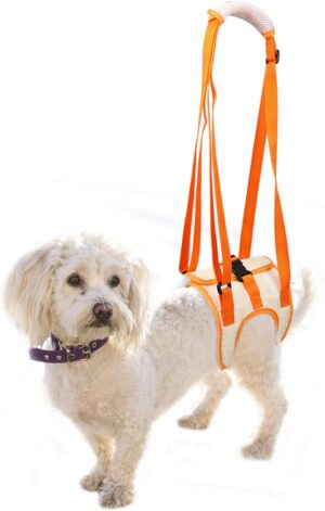 Arnés de Elevación para Perros con Patas Traseras Débiles – Soporte para Displasia y Recuperación Quirúrgica – Tamaño S