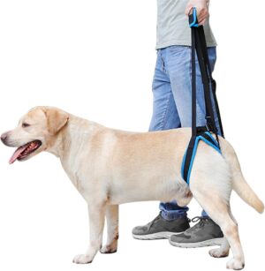 MIGHTYDUTY Arnés para Perros con Patas Traseras Débiles – Soporte Portátil con Mango de Elevación – Tamaño L