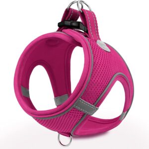 Joytale Arnés para Perro, Cómodo y Reflectante, Chaleco Transpirable para Gato y Cachorros, Rosa Caliente, Tamaño M