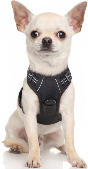 Rabbitgoo Arnés para Perro Pequeño, Antitirones y Ajustable, Chaleco Transpirable con Asa y Anillos para Adiestramiento, Línea Reflectante, Tamaño XS, Negro