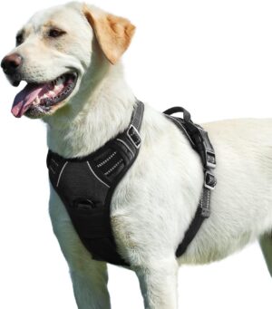 Arnés Antitirones para Perros Grandes y Medianos, Ajustable, Acolchado y Transpirable con Cinta Reflectante – Eagloo, Negro (L)
