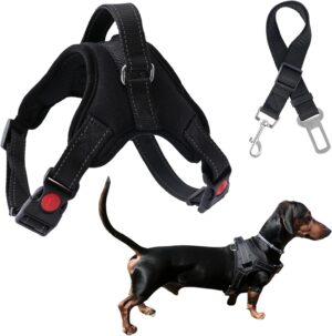 Arnés Antitirones para Perros Pequeños con Asa de Agarre y Cinturón de Seguridad para Coche - Ajustable, Reflectante y Cómodo