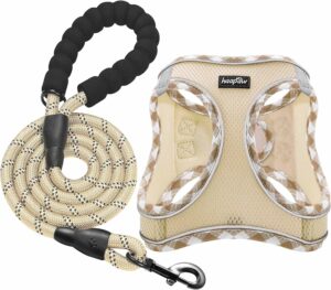 Haapaw Arnés y Correa para Perro, Ajustable y Reflectante para Cachorros y Perros Pequeños, Chaleco Acolchado sin Tirones, Beige