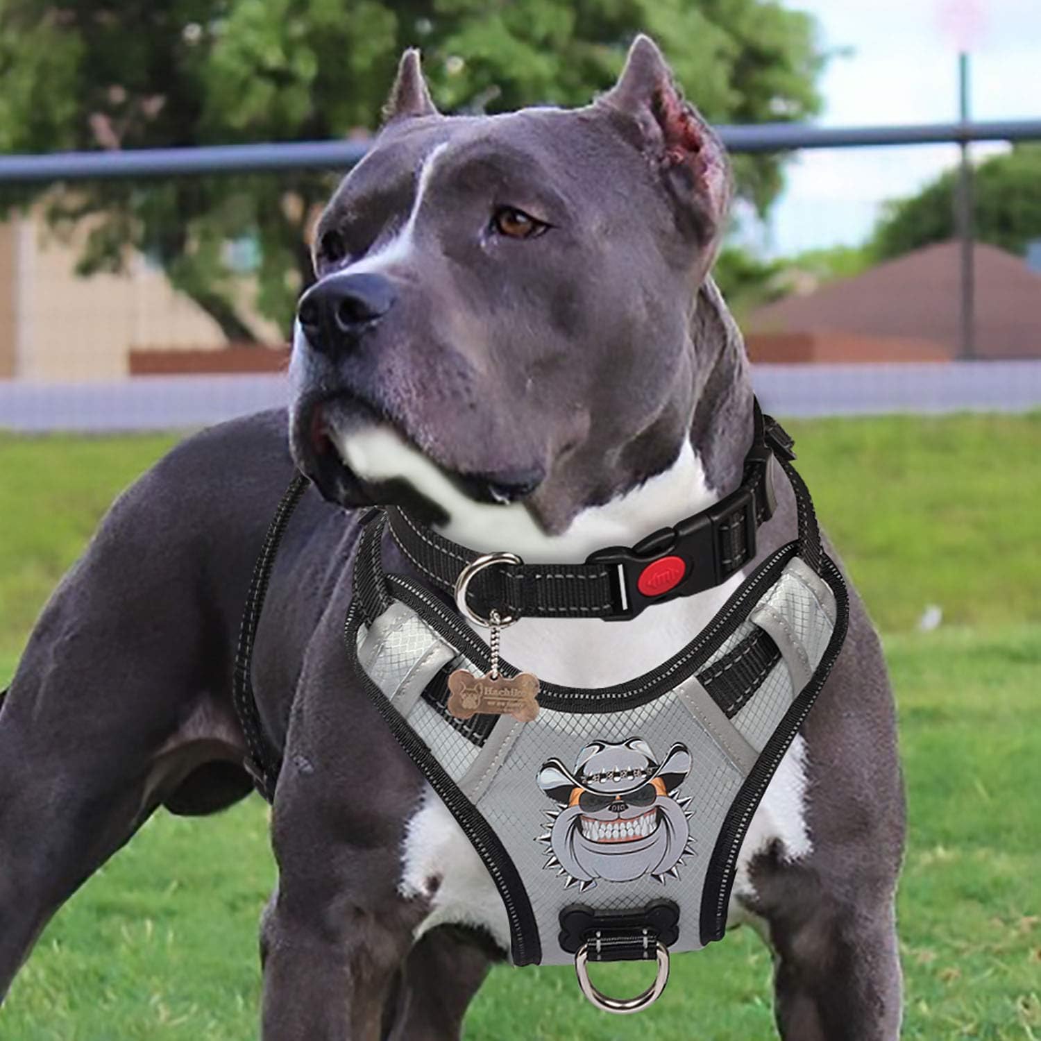 PENGDA Arnés para Perros Grande - Sin Tirón, Ajustable, Reflectante, Cómodo, con Asa para Automóvil (Plata)