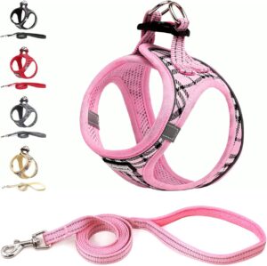Suredoo Arnés para Perros Pequeños y Gatos con Correa, Antitirones y Reflectante, Cómodo y Transpirable, Chaleco Ajustable (XS, Rosa)