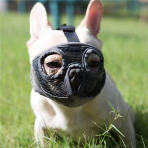 Bozal Corto para Perro con Forma de Bulldog - Malla Transpirable y Ajustable para Mascotas