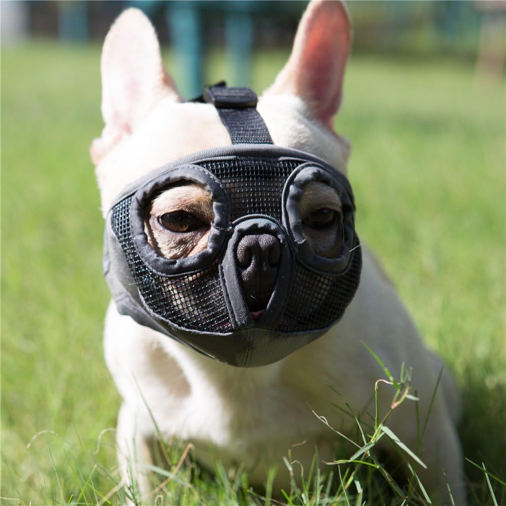 Bozal Corto para Perro con Forma de Bulldog - Malla Transpirable y Ajustable para Mascotas