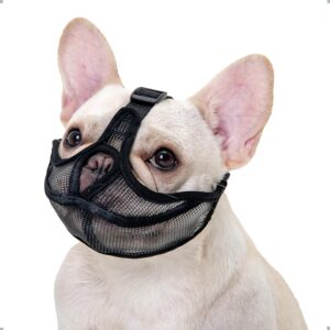 ILEPARK Bozal para Perro de Hocico Corto - Ajustable y Transpirable para Bulldog y Razas Similares (L, Negro)