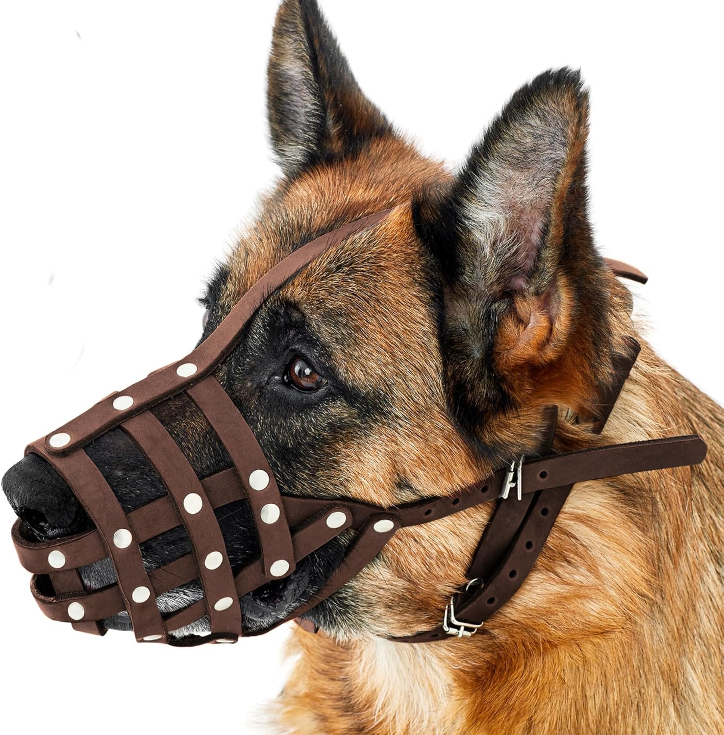 Bozal de cuero CollarDirect para Pastor Alemán, Dálmata y Doberman – Ajustable y cómodo, talla M, marrón