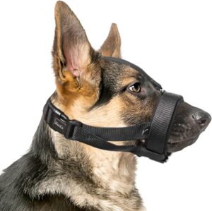 Bozal HEELE para Perro con Banda de Cabeza Ajustable y Acolchado, Seguro y Cómodo, Talla S, Negro