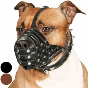 Bozal de Cuero para Perros CollarDirect – Ajustable y Transpirable, Ideal para Pitbulls y Terriers (Negro)