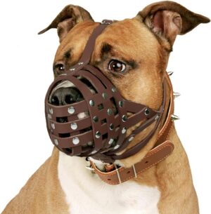 CollarDirect Bozal de Cuero para Perros - Ajustable y Transpirable, Ideal para Pitbull, Amstaff y Staffordshire Terrier (Marrón)