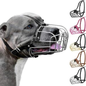 Bozal de Metal para Perro BronzeDog, Ajustable para Pitbull y Amstaff con Correas de Cuero, Talla Grande
