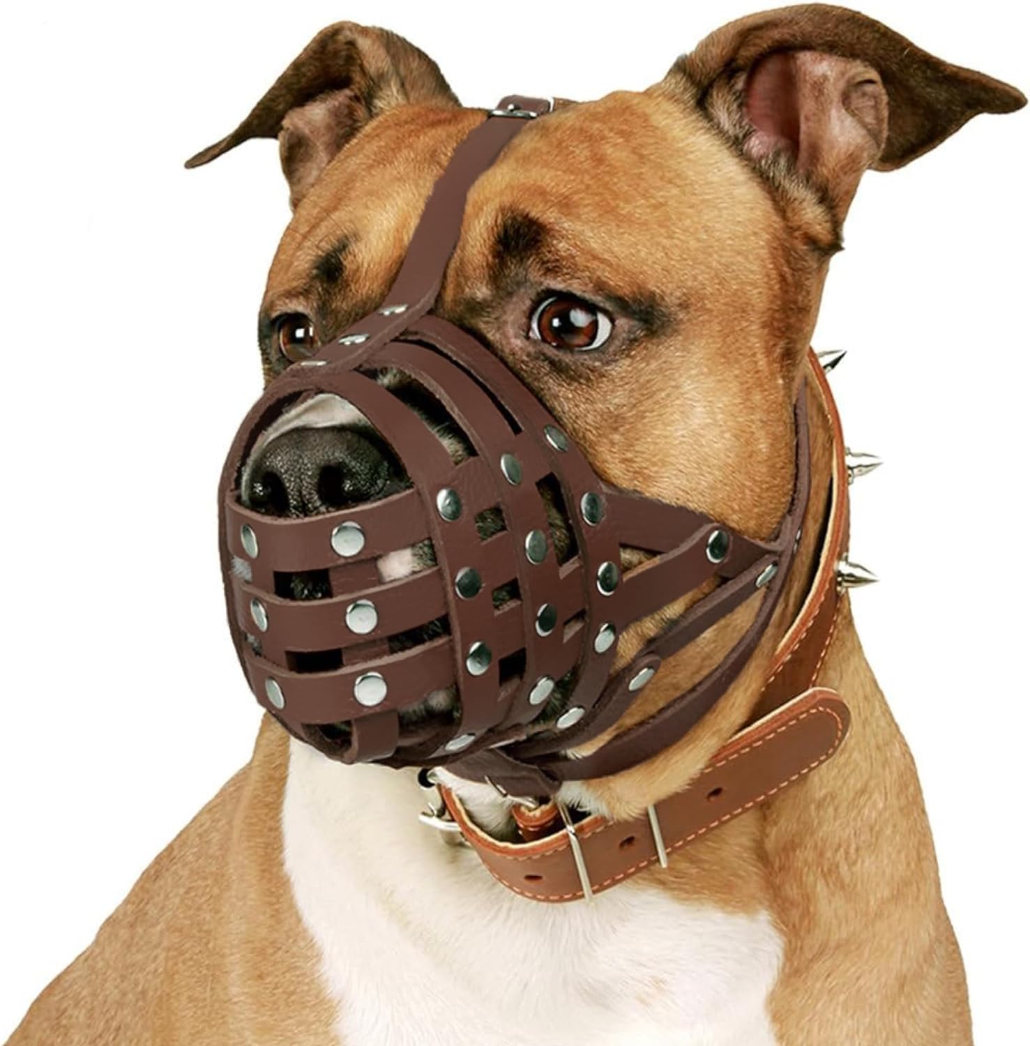 CollarDirect Bozal de Cuero para Pitbull y Perros Grandes, Ajustable y Transpirable, Color Marrón