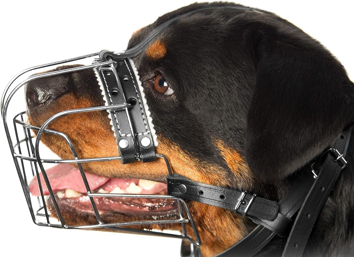Bozal de Metal para Rottweiler con Correas de Cuero Ajustables - Tamaño №2 (Circunferencia 26-36.8 cm, Longitud 6.8-8.9 cm)