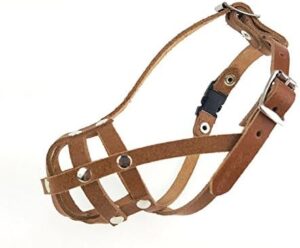 Bozal de Cuero Ligero para Perros Pequeños – Chihuahua, Yorkshire Terrier y Más