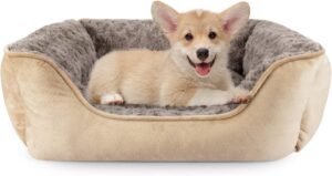 Cama Para Perros Pequeños JOEJOY - Cueva Antideslizante 2 en 1, Colchón Lavable en Beige (51x48x18 cm)