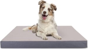 Nobleza Cama Ortopédica para Perros Pequeños, Colchoneta Lavable con Funda Desenfundable, 75x50x8cm, Gris