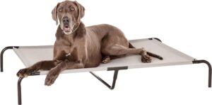 Amazon Basics - Cama Elevada para Perros Extra Grandes, Refrescante y Transpirable, 153x94 cm, Gris