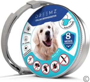 "DREEMZ® Collar Antiparasitario para Perros y Gatos - Protección de 8 Meses contra Pulgas, Garrapatas y Mosquitos, 63 cm Ajustable, Natural e Impermeable"