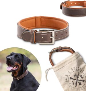 Collar de Cuero Jack & Russell Amy para Perro - Resistente y Elegante, Grabado en Relieve (L - 42,5-51,0 cm)