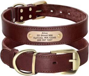 Collar de Cuero Personalizado Didog para Perro - Suave y Durable con Etiqueta de Identificación