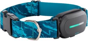 Kolyy Series 2 - Collar GPS para Perros con Localización en Tiempo Real, Control por App y Seguimiento de Salud - Hecho en España