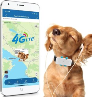 Collar GPS TK911Pro para Perros y Gatos - Localización en Tiempo Real, Alarma y Valla de Seguridad, Impermeable y Sin Suscripción