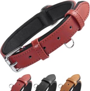 Collar de Perro de Cuero Grand Line, Ancho y Acolchado, Ajustable y Resistente, para Perros Pequeños, Medianos y Grandes (Rojo, S)