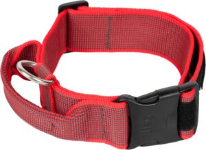 Collar Color & Gray con Asa, Cierre de Seguridad y Parches Intercambiables, 50 mm (49-70 cm), Rojo-Gris