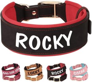 Collar de Cuero Personalizado PET ARTIST para Perros Grandes, Acolchado y Resistente, Ideal para Mastín y Rottweiler, Negro XL