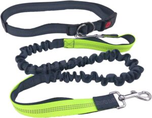 Correa para Perro Manos Libres QitinDasen, Gris con Correa Elástica Retráctil y Cinturón Ajustable, Doble Manija y Costuras Reflectantes