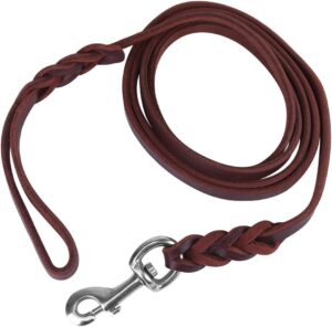 Correa de Cuero Marrón para Perros Fdit - 3 Longitudes Disponibles (1.2m, 1.6m, 2.1m)