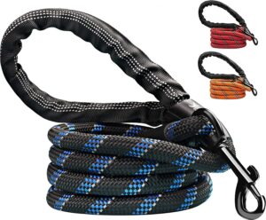 Candure Correa para Perro con Mango Acolchado y Nylon Resistente - Correa Reflectante de 5 ft para Perros de Todos los Tamaños