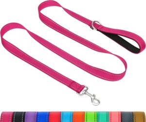 Correa Reflectante para Perro Taglory con Mango Acolchado y Gancho de Metal – Correa de Adiestramiento para Perros Pequeños, 1.2m x 2.0cm, Fucsia