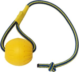 Pelota de Entrenamiento Flotante para Perros con Cuerda, Espuma Resistente, Ideal para Juegos y Tira y Afloja (7cm)