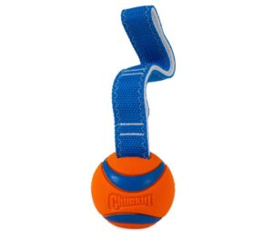 Chuckit! Ultra Tug Pelota de Goma con Cuerda para Perros, Compatible con Lanzador, Talla M